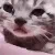 :1_emoji_487: 1_emoji_487