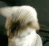 :1_emoji_492: 1_emoji_492