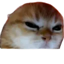 :1_emoji_493: 1_emoji_493