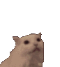 1_emoji_499