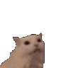 1_emoji_499