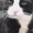 :1_emoji_466: 1_emoji_466