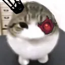 Bedcatto