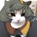 Delkitty