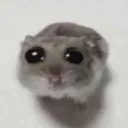 c_