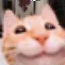 BL_Meow