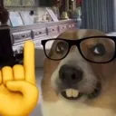 nerddog