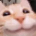 Catevilsmile Discord Emoji