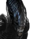Xenomorph