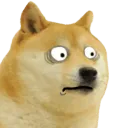 LazyChinoWhatDoge