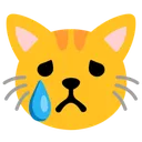catfrown