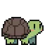turtleboogie