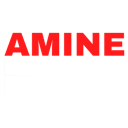 MSA_amineleprince