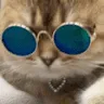 catjam