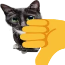 kitty_thumbs_down