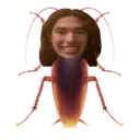 conanroach