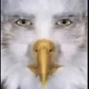 AmericaRAHHHHHHH