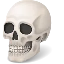 aero_skull aero_skull