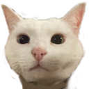 Dan Discord emoji