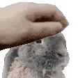 Goodbun