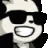 cool_panda