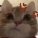 zluka