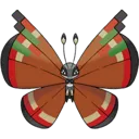 vivillon_archipelago