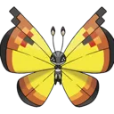 vivillon_continental