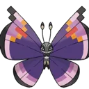 vivillon_elegant