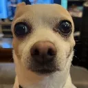 __