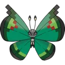 vivillon_garden