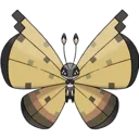 vivillon_sandstorm