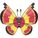 vivillon_sun