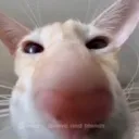 Guh