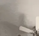 catPunch