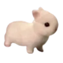 airpod