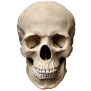 realistic_skull Discord emoji