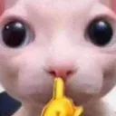 shutthefuckup