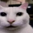 erm