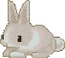 Shoshi animated Discord emote | Jewish Community