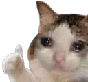 CryingButItsAlright