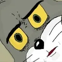 tom_wtf