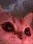 AkittyWink