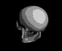 skullspin