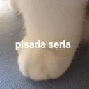 pisadaseria