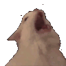 SA_ThurstonScream