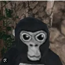 gorilla