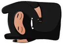 ppsleep