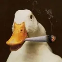 StonerGoose