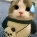 IMG_20230815_121306_330